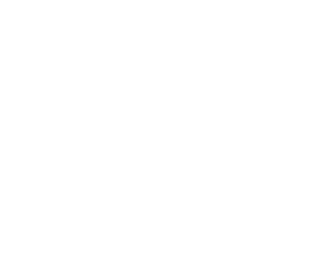 PREMOR-logo_02